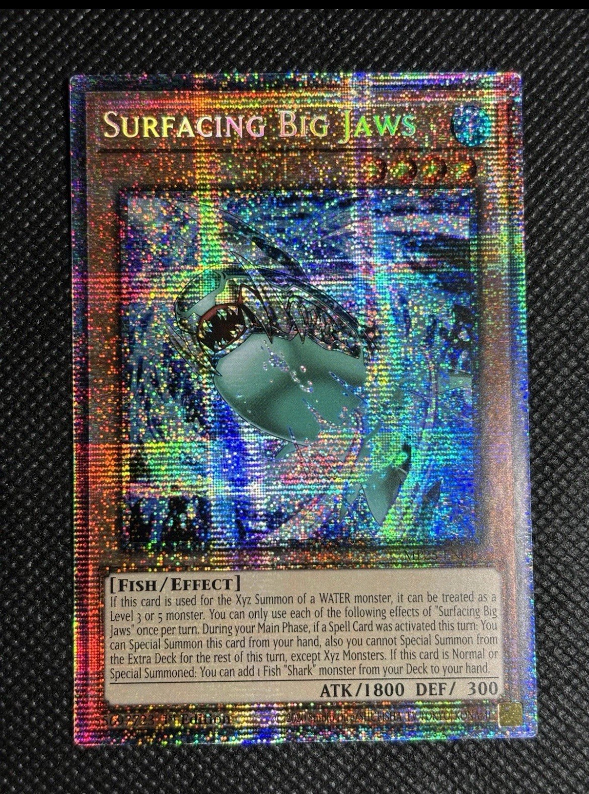 Yugioh MP25-EN012 Surfacing Big Jaws Starlight Rare MINT