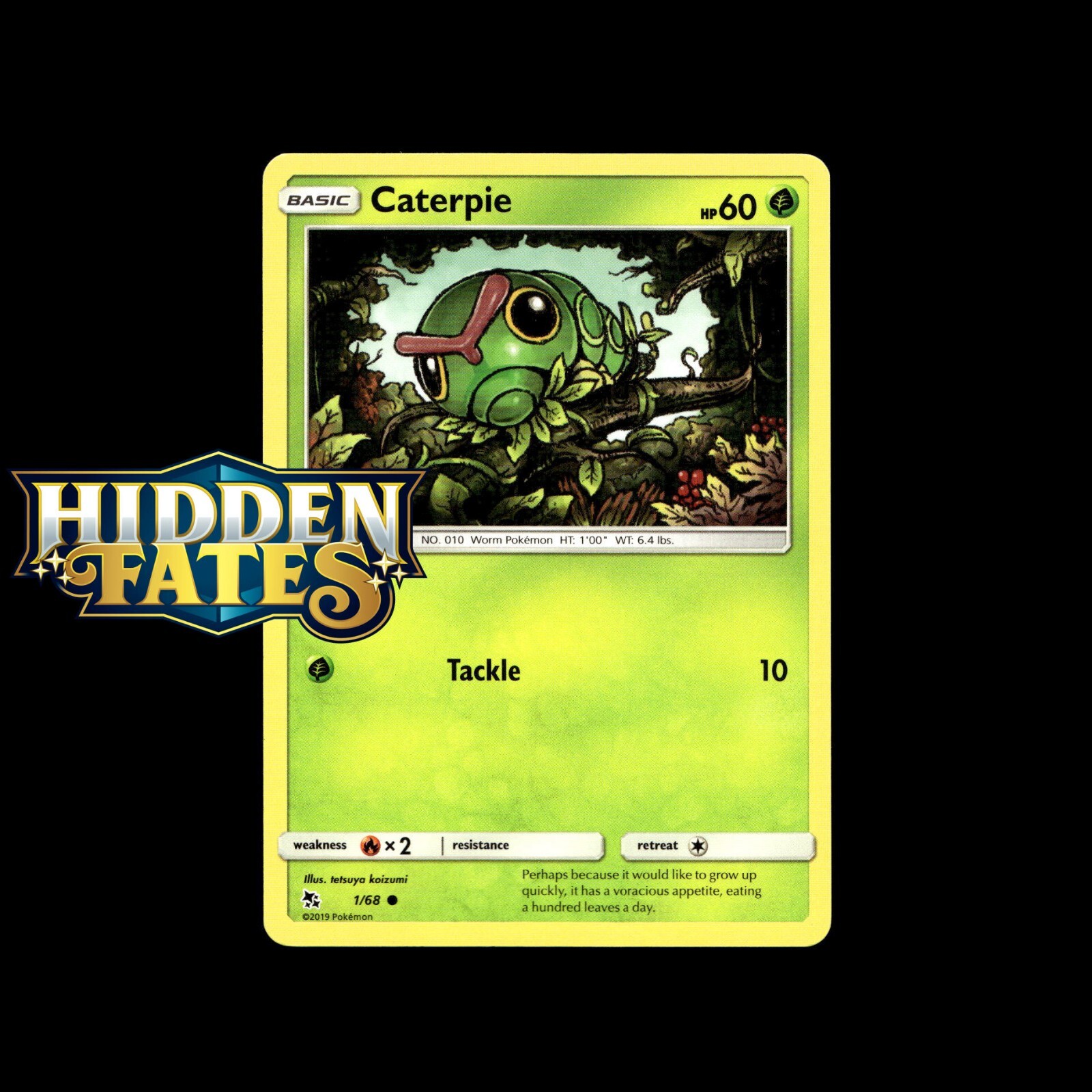 Pokemon Cards! Hidden Fates – Holo/Reverse Holo GX Shiny Rare Choose Your Card!